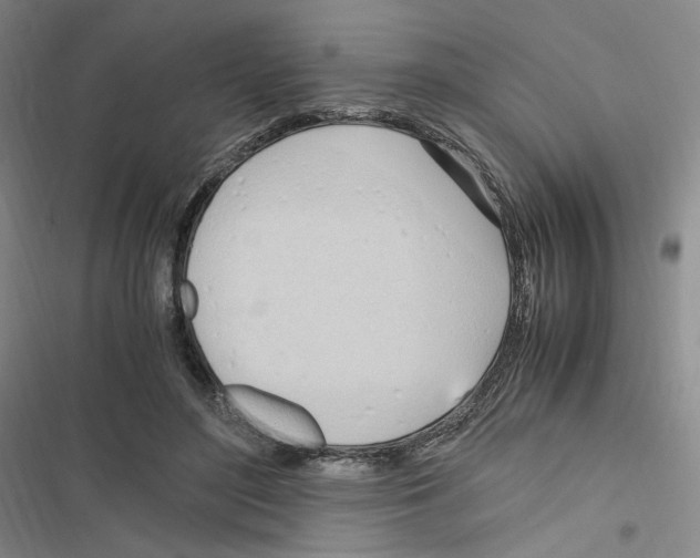 X0000116680500201001251303