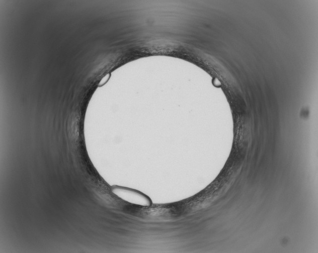 X0000116680501201001251303