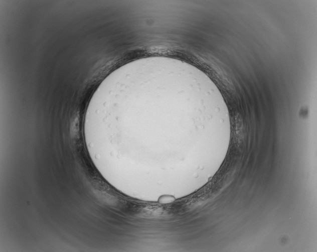 X0000116680502201001251303