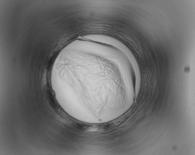 X0000116680504201001251303