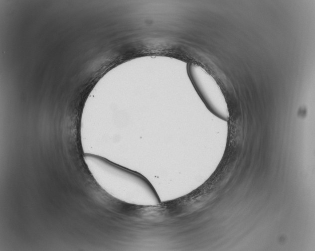 X0000116680505201001251303