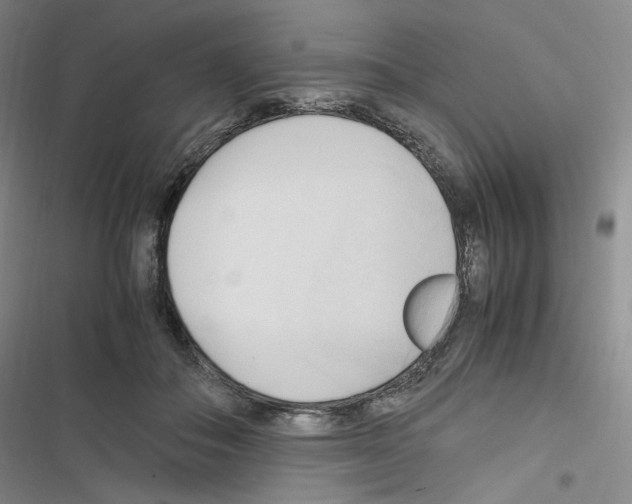 X0000116680506201001251303