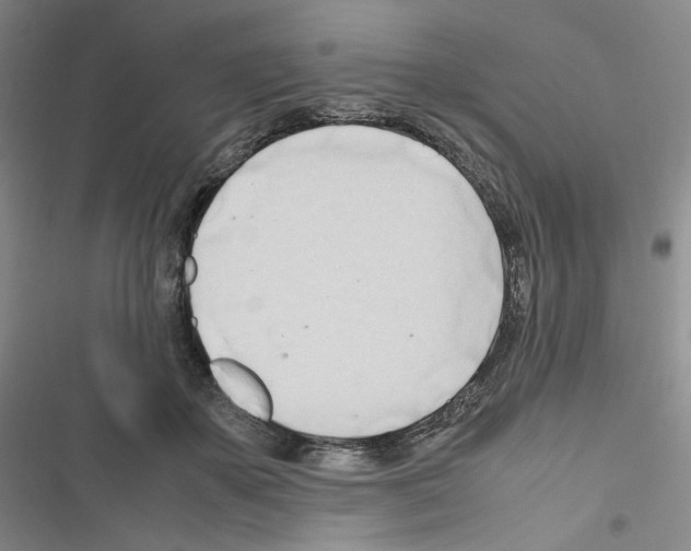 X0000116680507201001251303