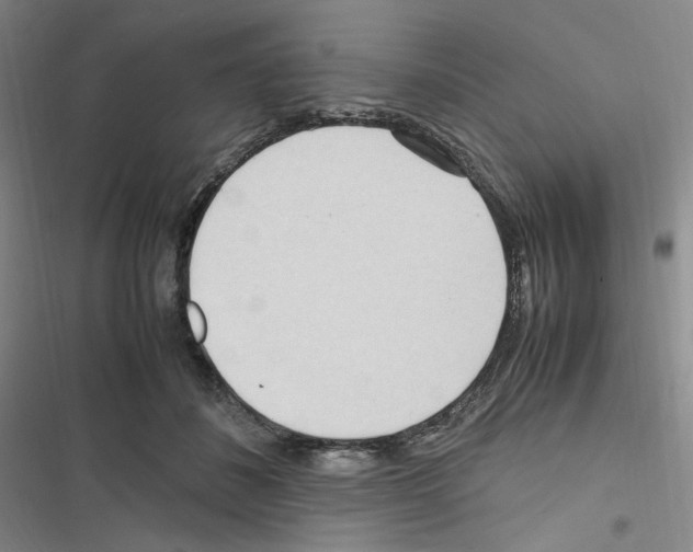 X0000116680508201001251303