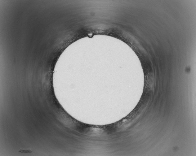 X0000116680509201001251303