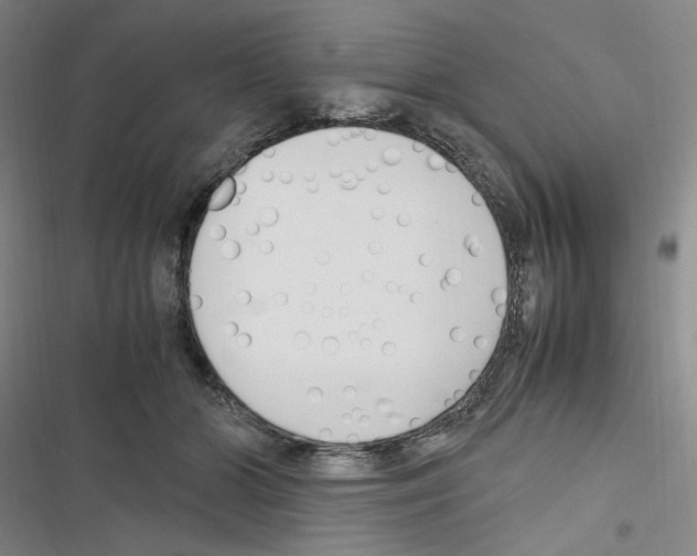 X0000116680510201001251303