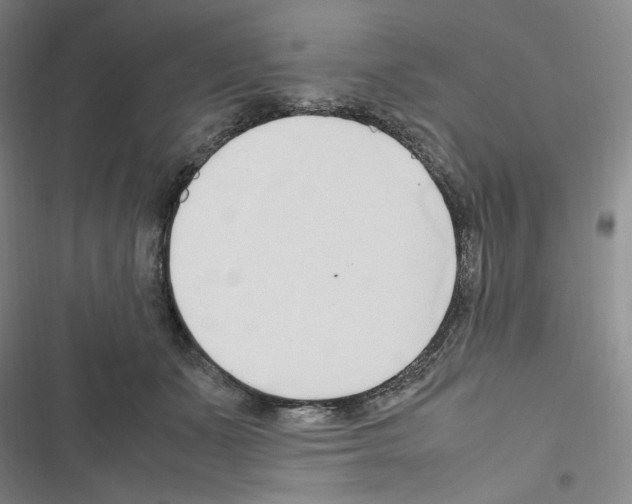 X0000116680511201001251303