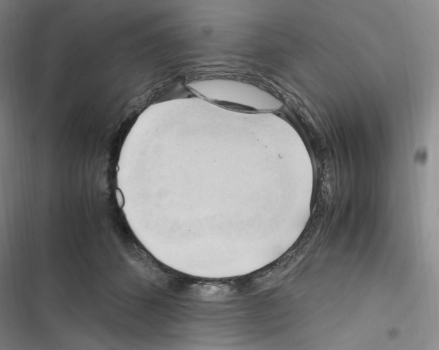 X0000116680512201001251303