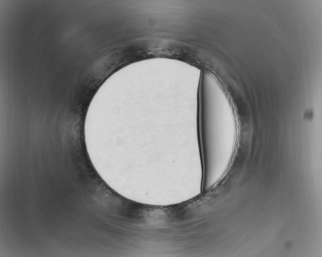 X0000116680513201001251303