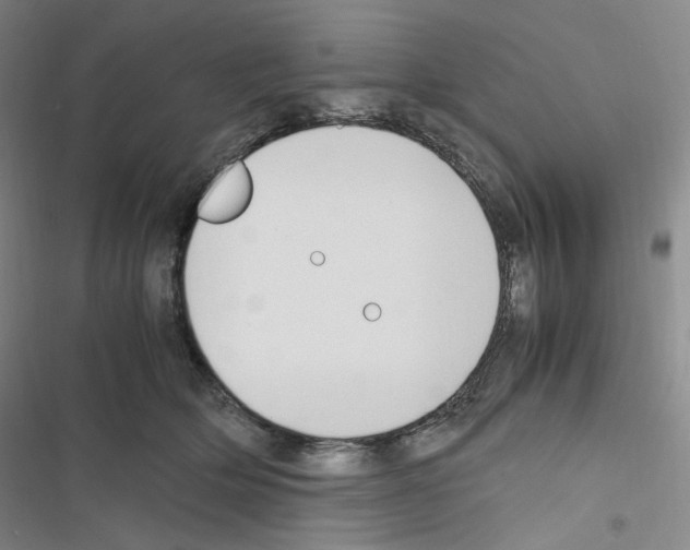 X0000116680514201001251303