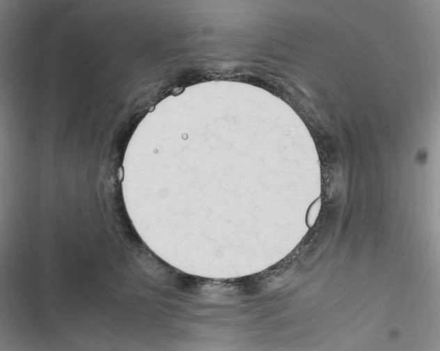 X0000116680515201001251303