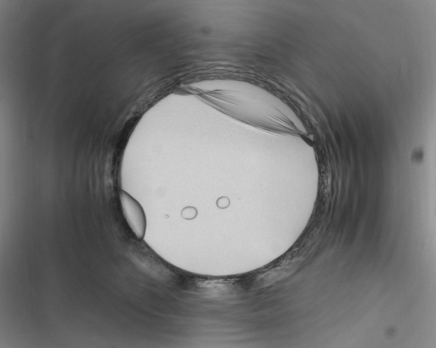 X0000116680516201001251303