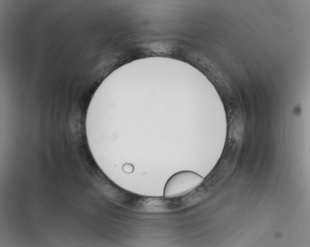 X0000116680518201001251303