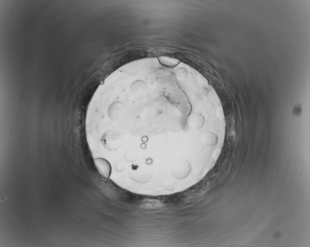 X0000116680519201001251303