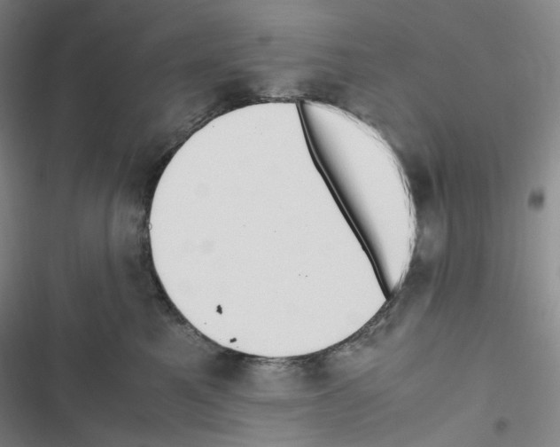 X0000116680521201001251303