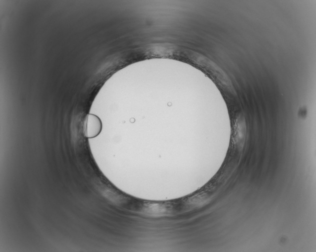 X0000116680522201001251303