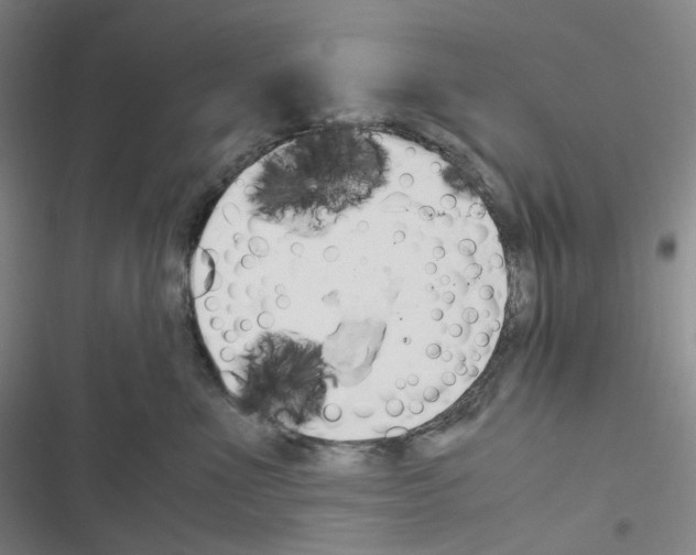 X0000116680523201001251303