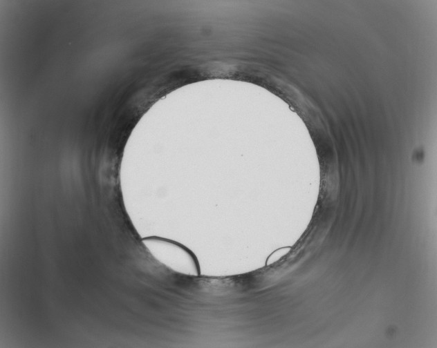 X0000116680525201001251302