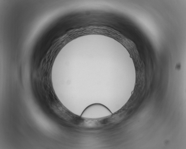 X0000116680526201001251302