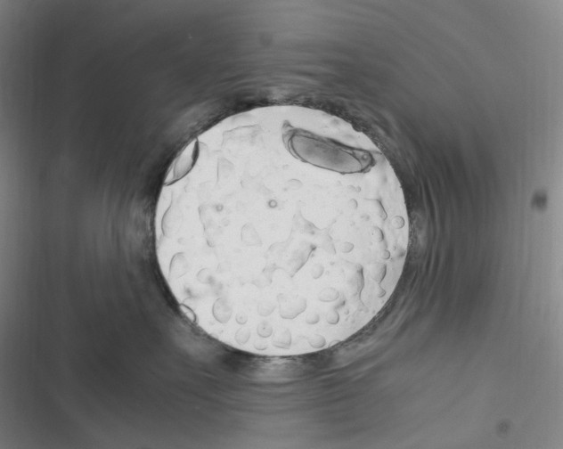 X0000116680527201001251302