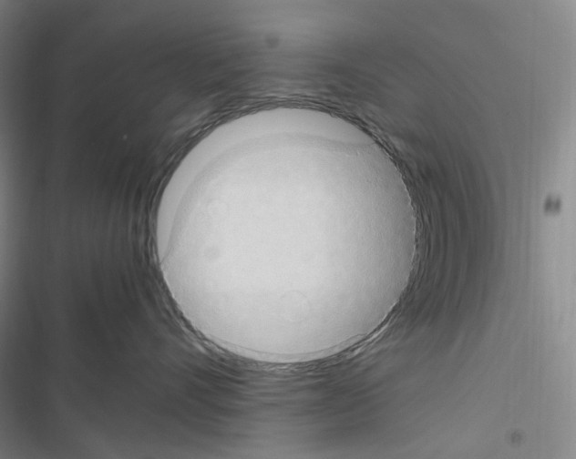 X0000116680528201001251302