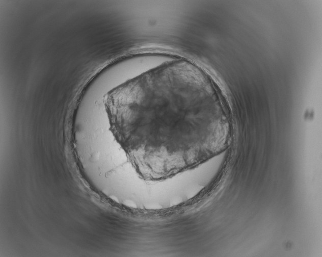 X0000116680529201001251302