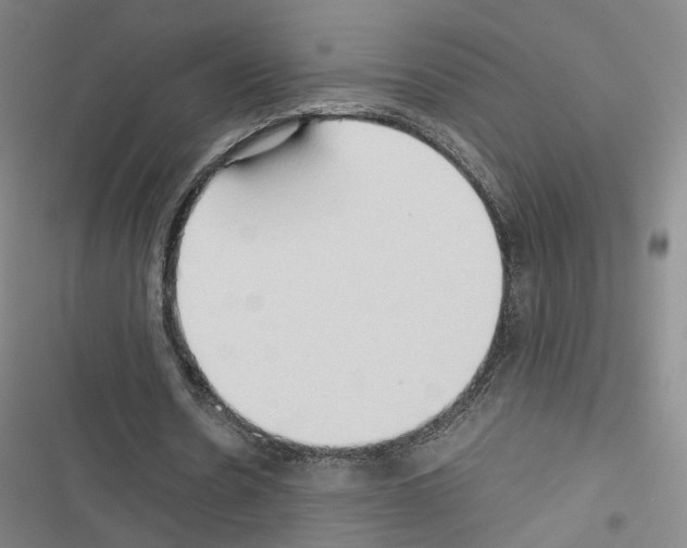 X0000116680530201001251302