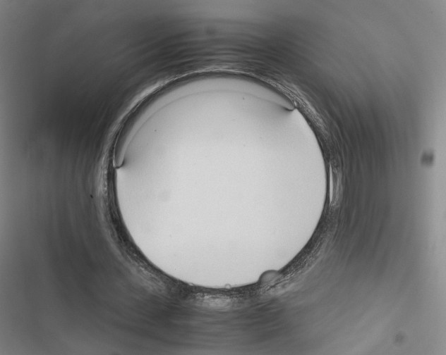 X0000116680531201001251302