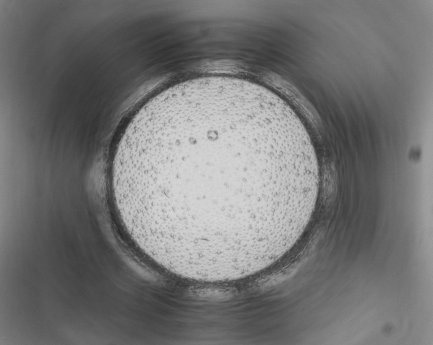 X0000116680533201001251302