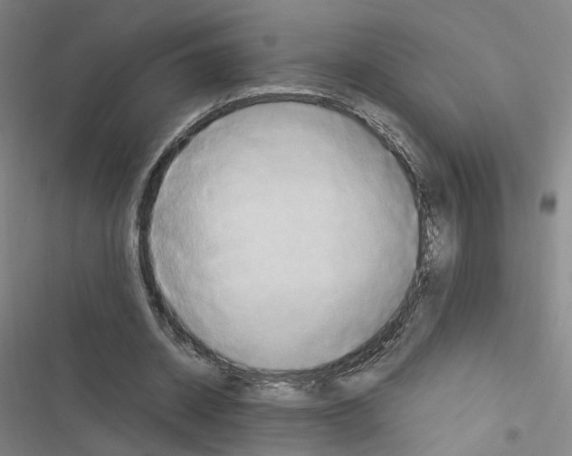 X0000116680534201001251302