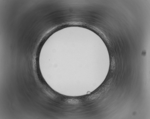 X0000116680535201001251302