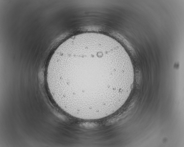 X0000116680537201001251302