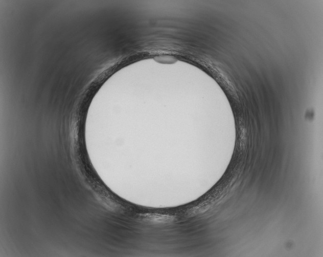 X0000116680539201001251302