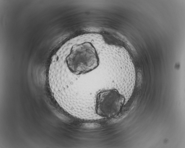 X0000116680541201001251302