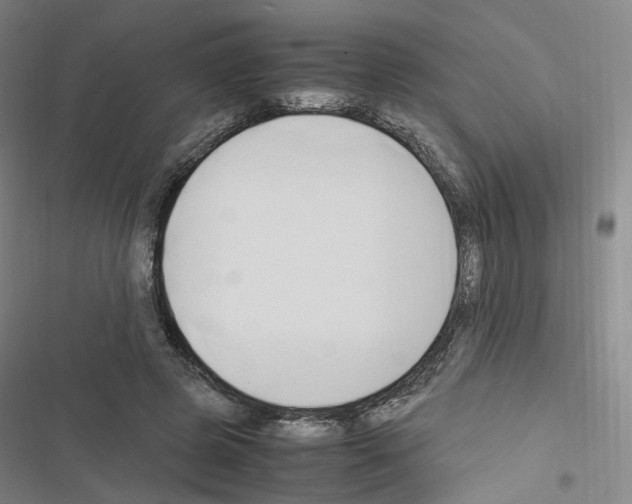 X0000116680545201001251302