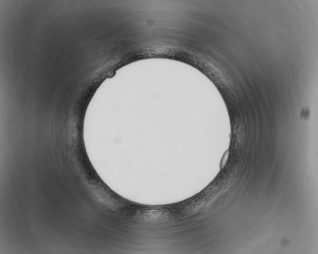 X0000116680546201001251302