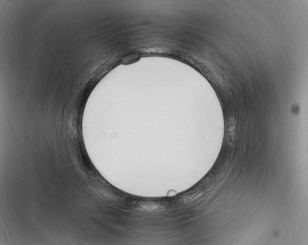 X0000116680547201001251302