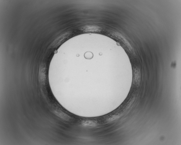 X0000116680549201001251302