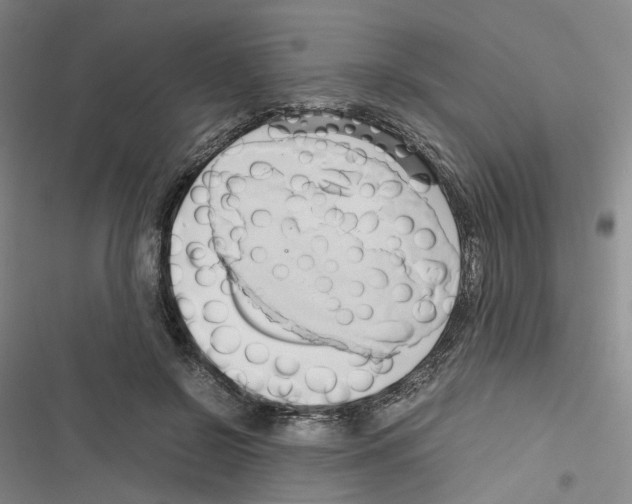 X0000116680550201001251302