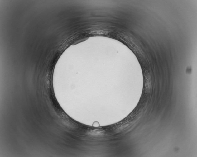 X0000116680551201001251302