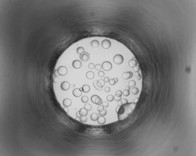 X0000116680554201001251302