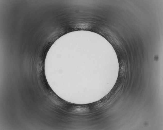 X0000116680555201001251302