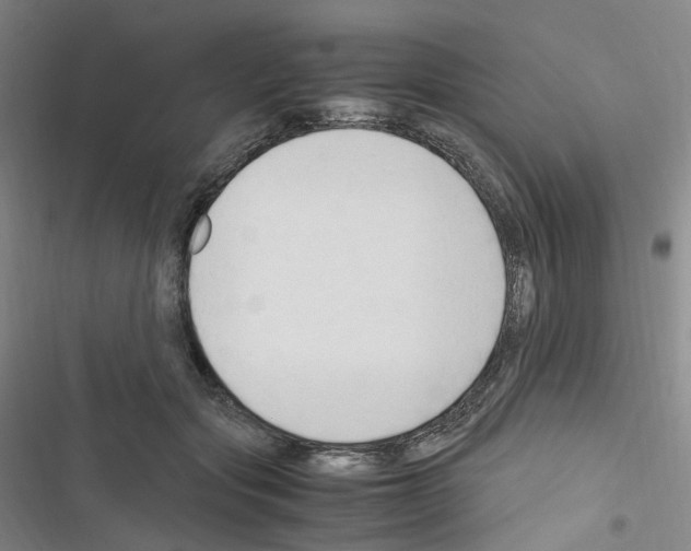 X0000116680557201001251302