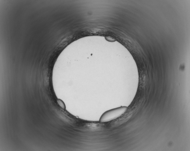 X0000116680558201001251302