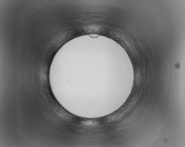 X0000116680561201001251302