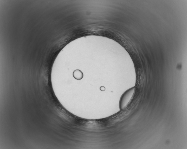 X0000116680562201001251302