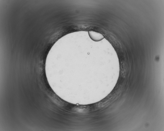 X0000116680563201001251302