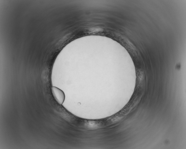 X0000116680565201001251302