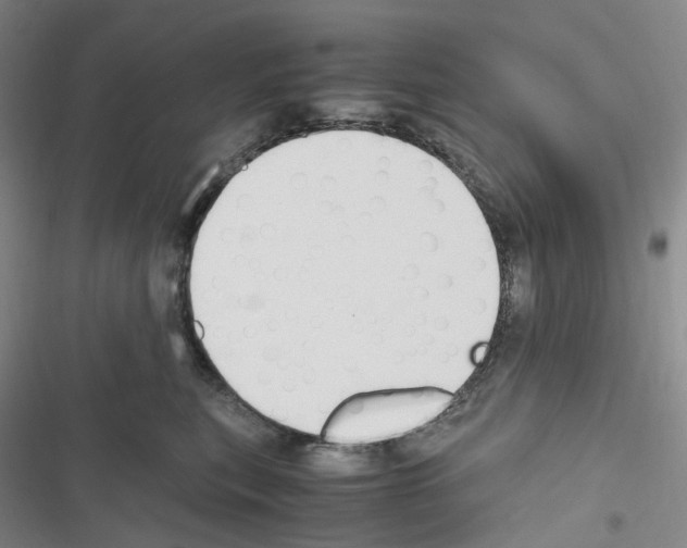 X0000116680567201001251302