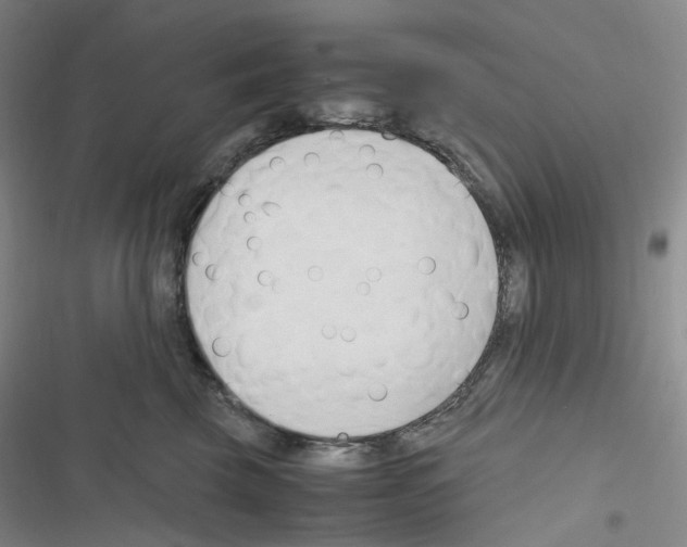 X0000116680569201001251302